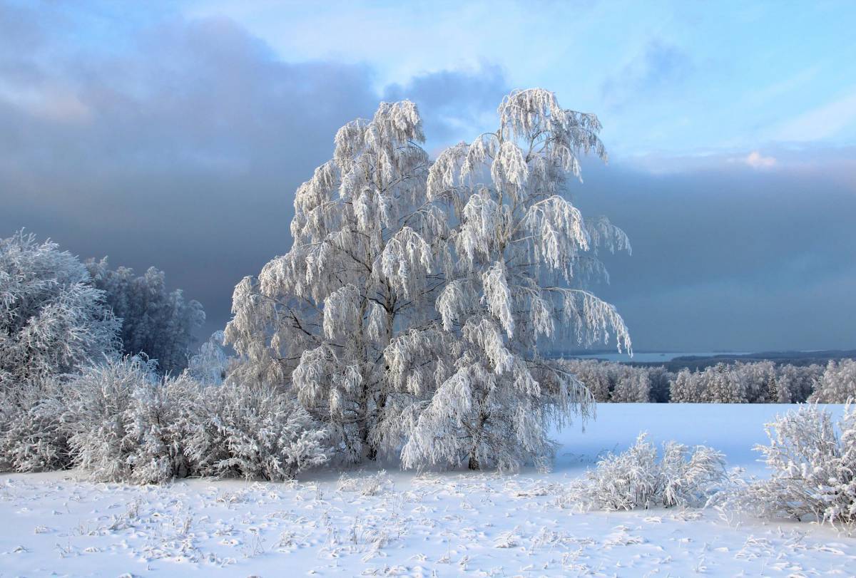 Красота зимы #29
