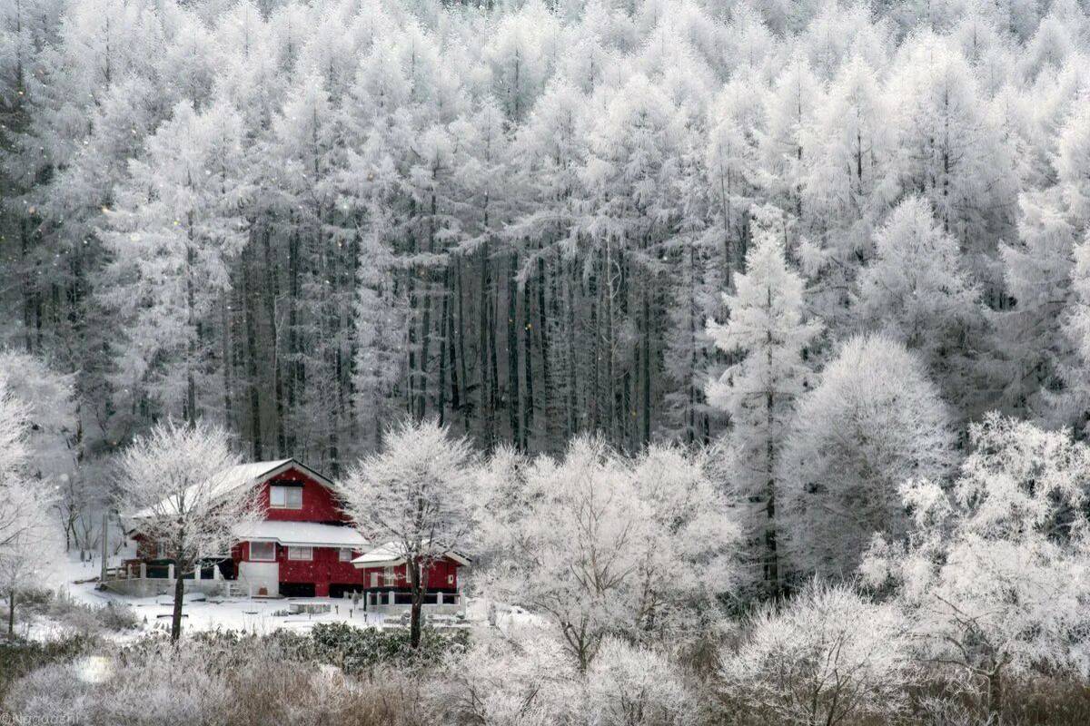 Красота зимы #31