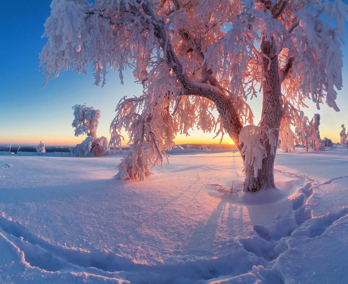 Красота зимы #36