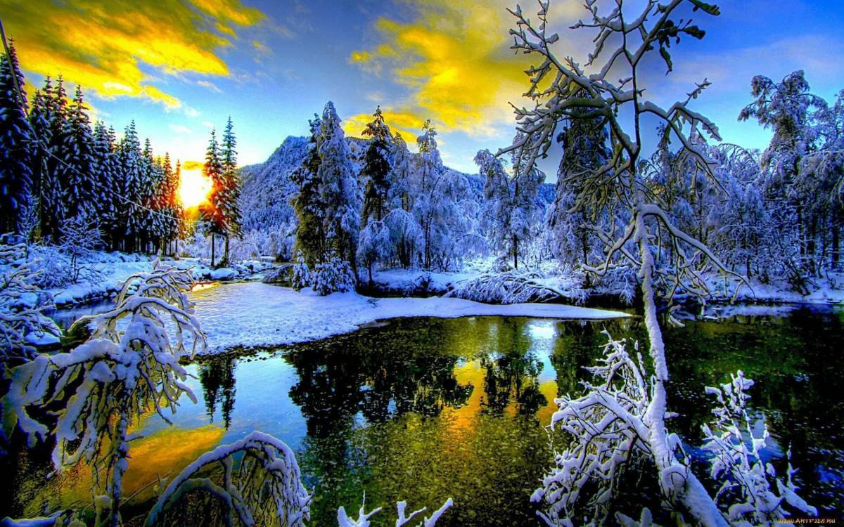 Красота зимы #37