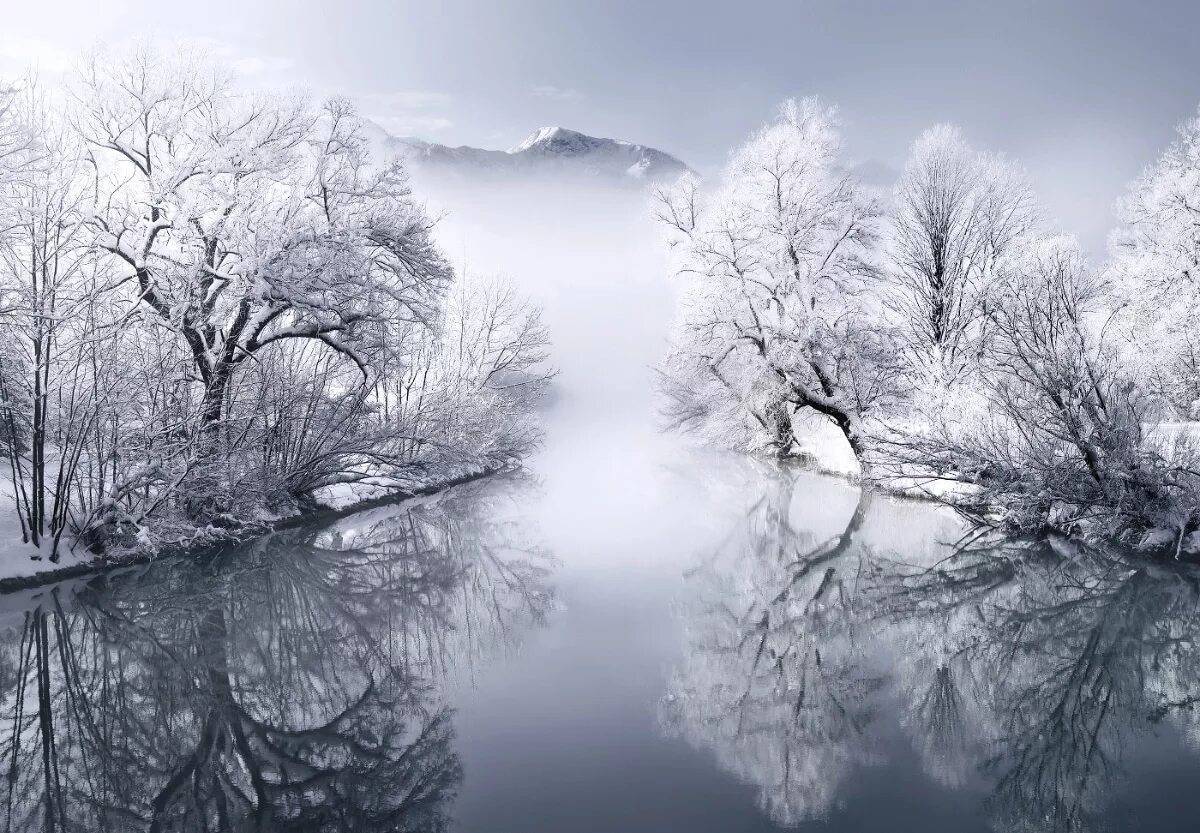 Красота зимы #38