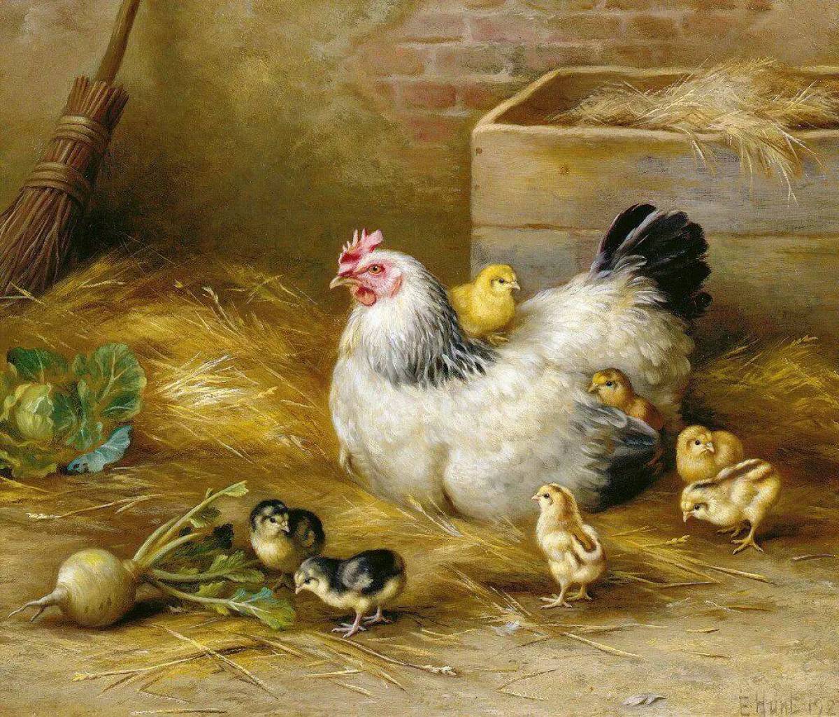 Курица с цыплятами #22