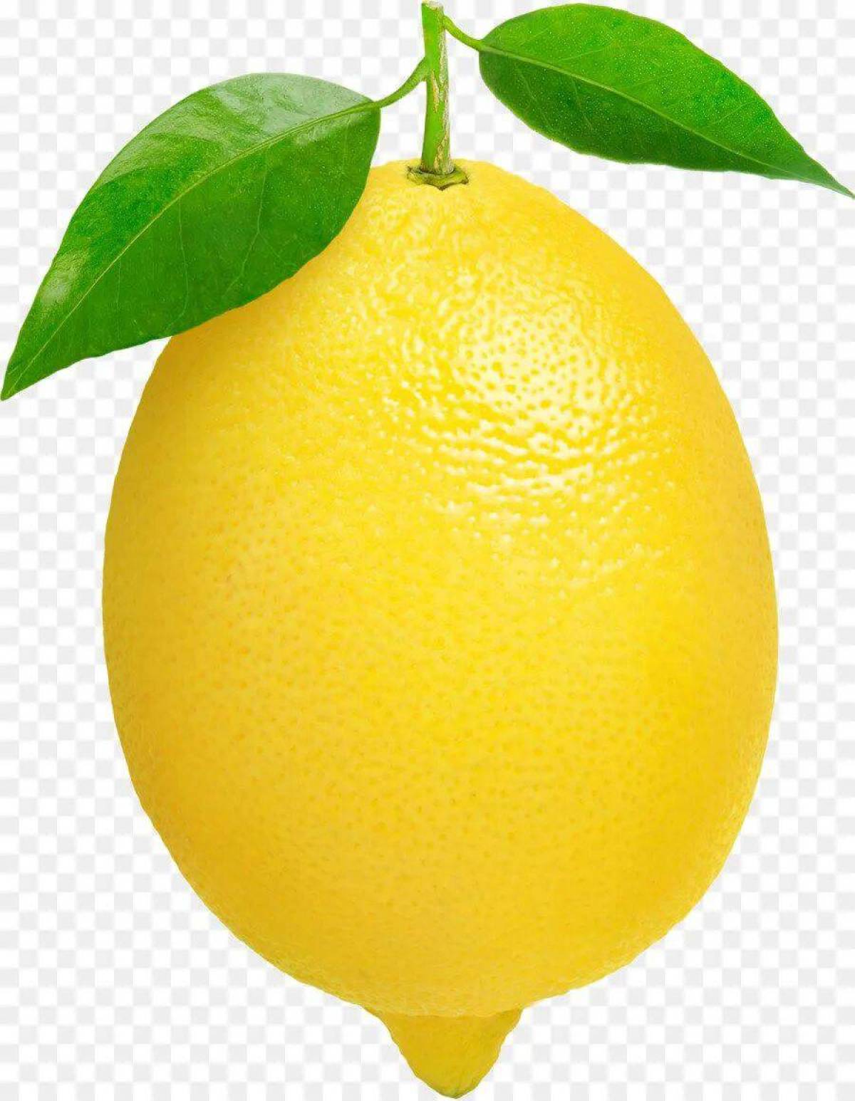 Раскраска Лимон и апельсин