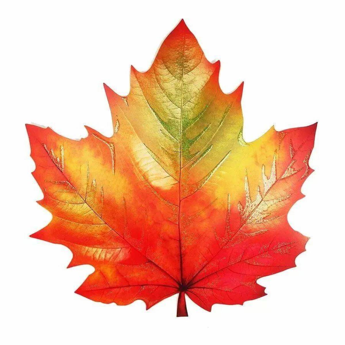 Осенний лист рисунок. Листики осенние кленовые. Осенний кленовый лист. Осень листья. Осенний Лис.
