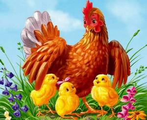Раскраска курица с цыплятами #2 #100017