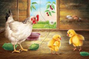 Раскраска курица с цыплятами #8 #100023