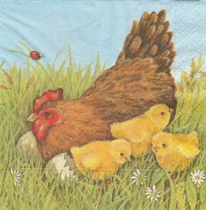 Раскраска курица с цыплятами #10 #100025