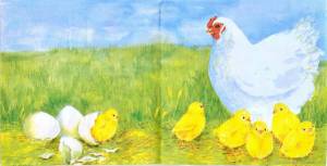 Раскраска курица с цыплятами #24 #100039