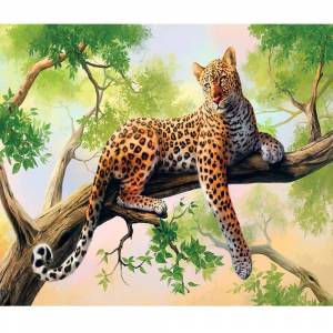 Раскраска леопард для детей #24 #102855