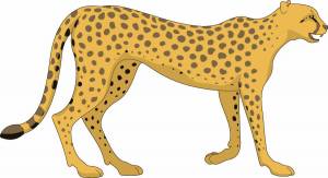 Раскраска леопард для детей #31 #102862