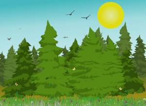 Раскраска лес для детей #6 #102903