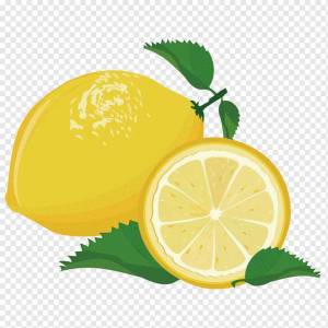 Раскраска лимон для детей #27 #103143