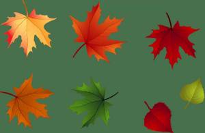 Раскраска листья для детей #31 #103608