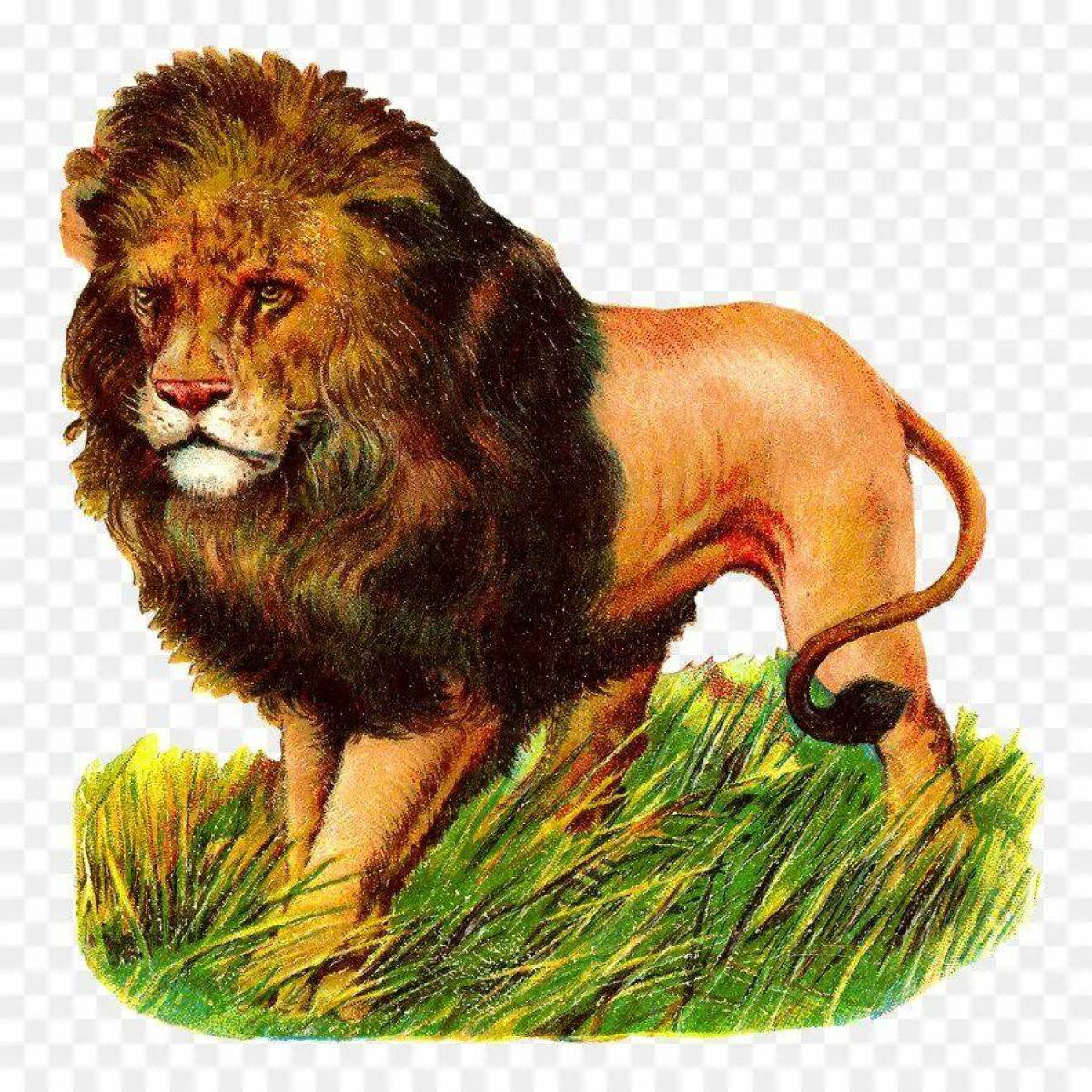 Льва для детей #19
