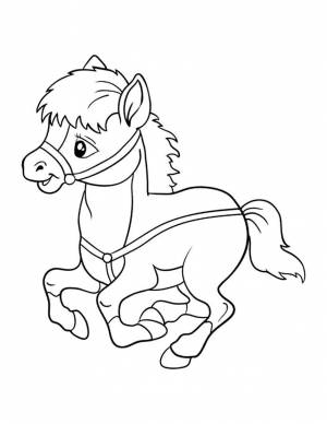 Раскраска лошадка для детей 5 6 лет #36 #104932