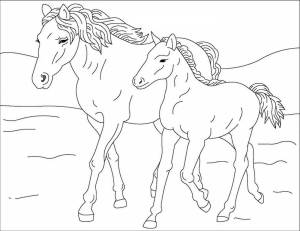 Раскраска лошадки для девочек #5 #104967