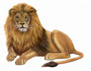 Раскраска льва для детей #6 #105589