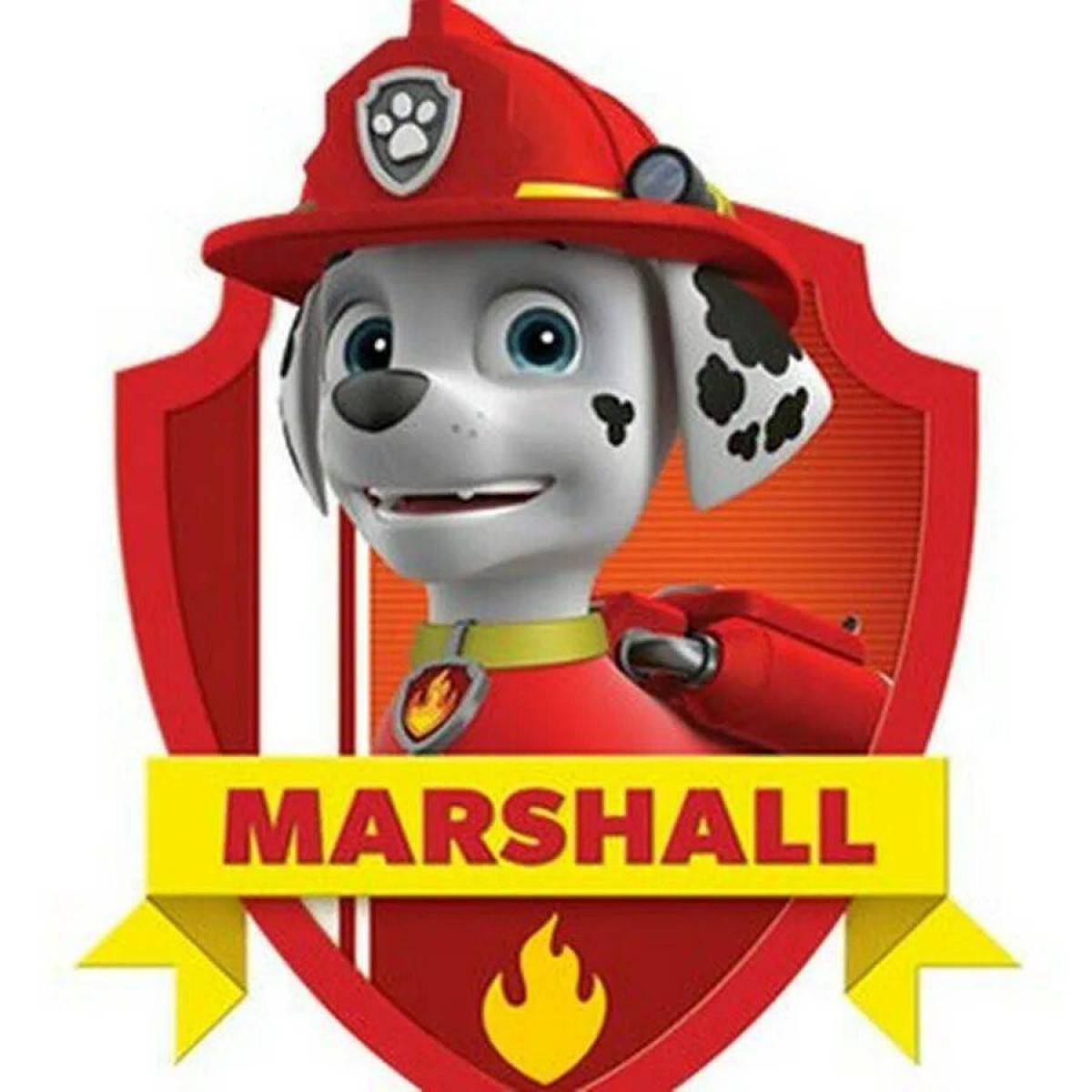 Маршал #23