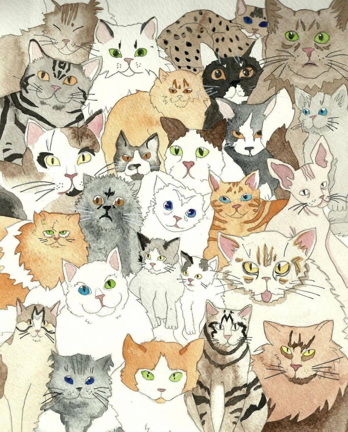 Много котиков #25