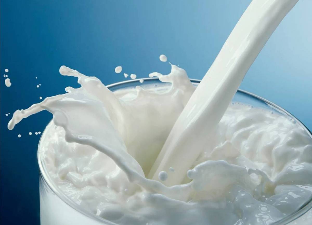 Молоко #16