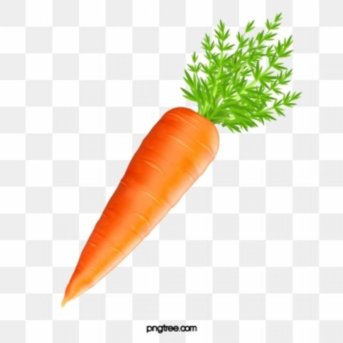 Морковка для детей #5