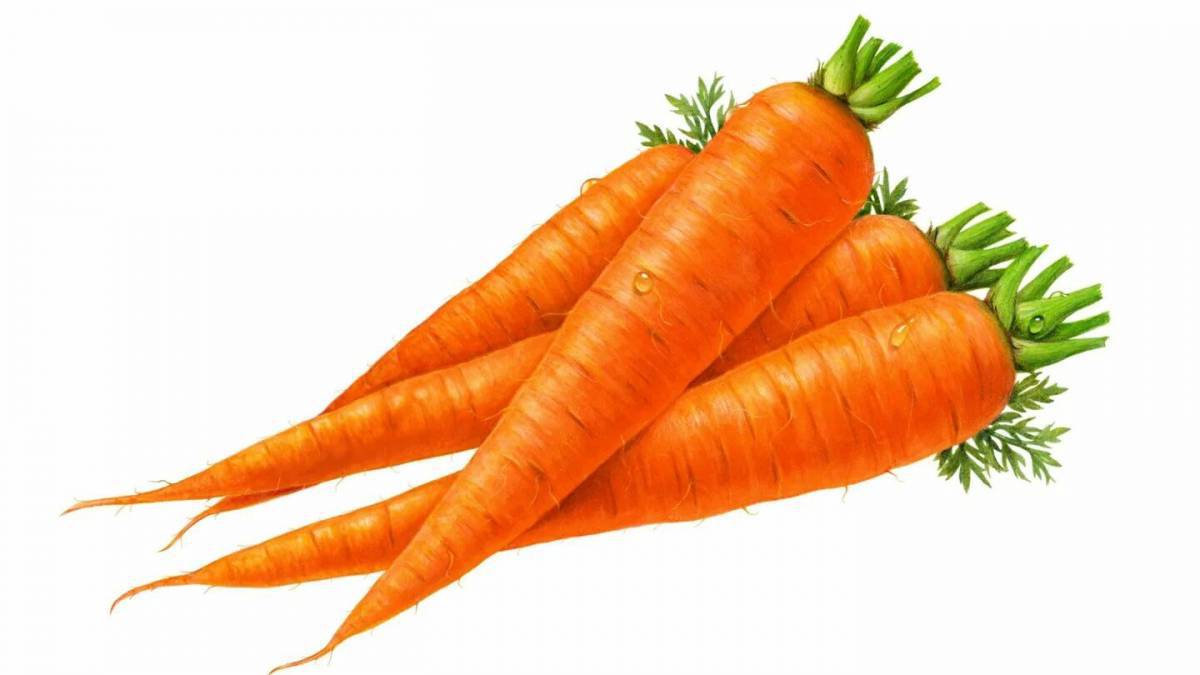 Морковка для детей #10