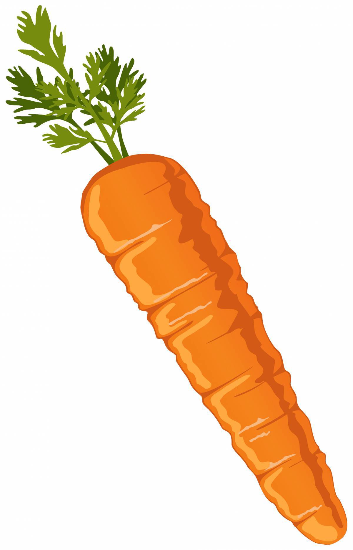 Морковка для детей #13