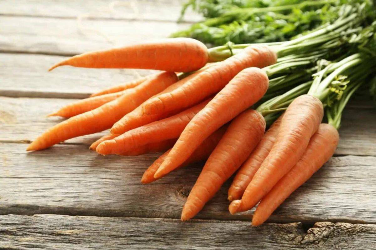 Морковь #4