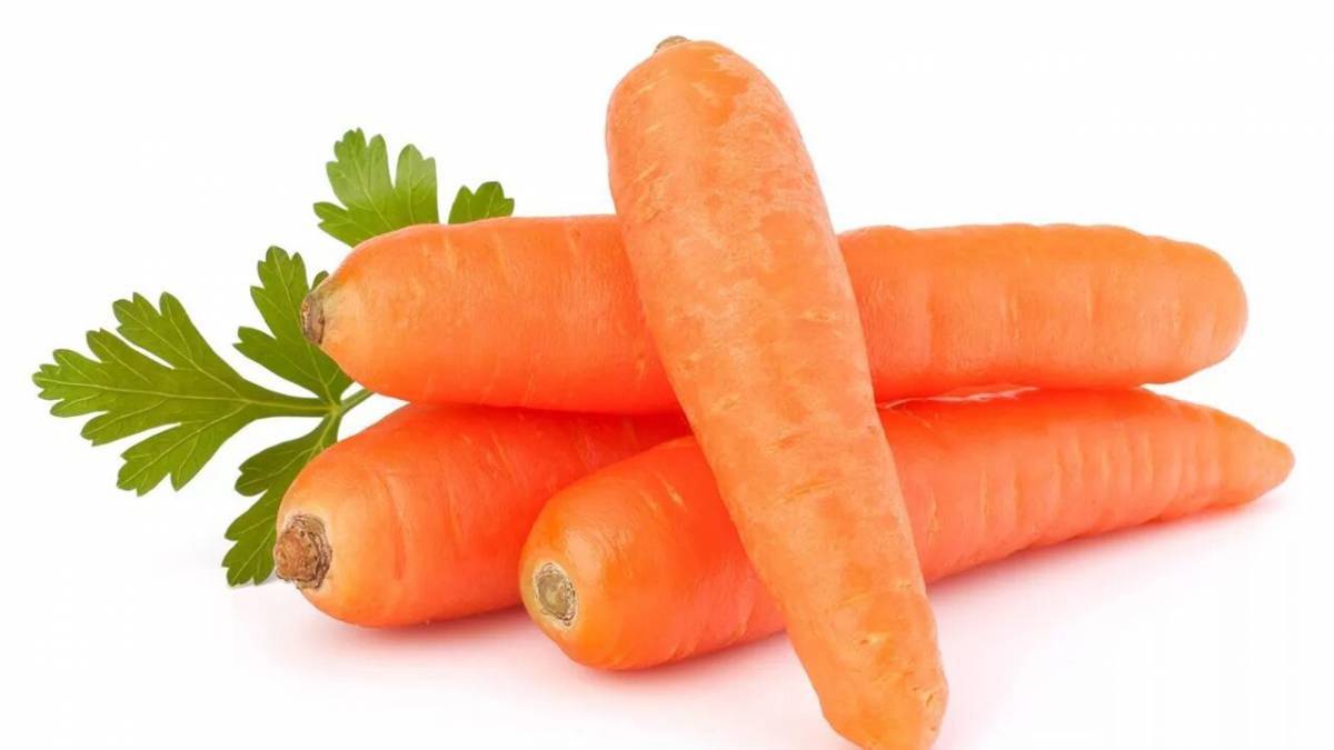 Морковь #13