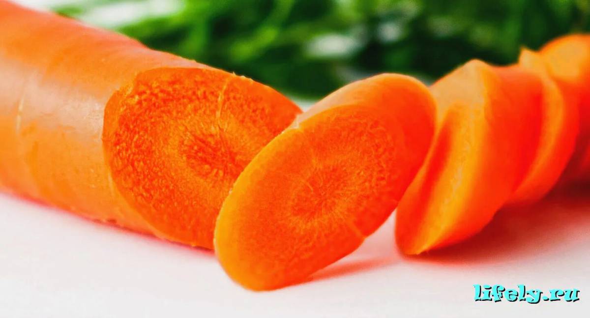 Морковь #16