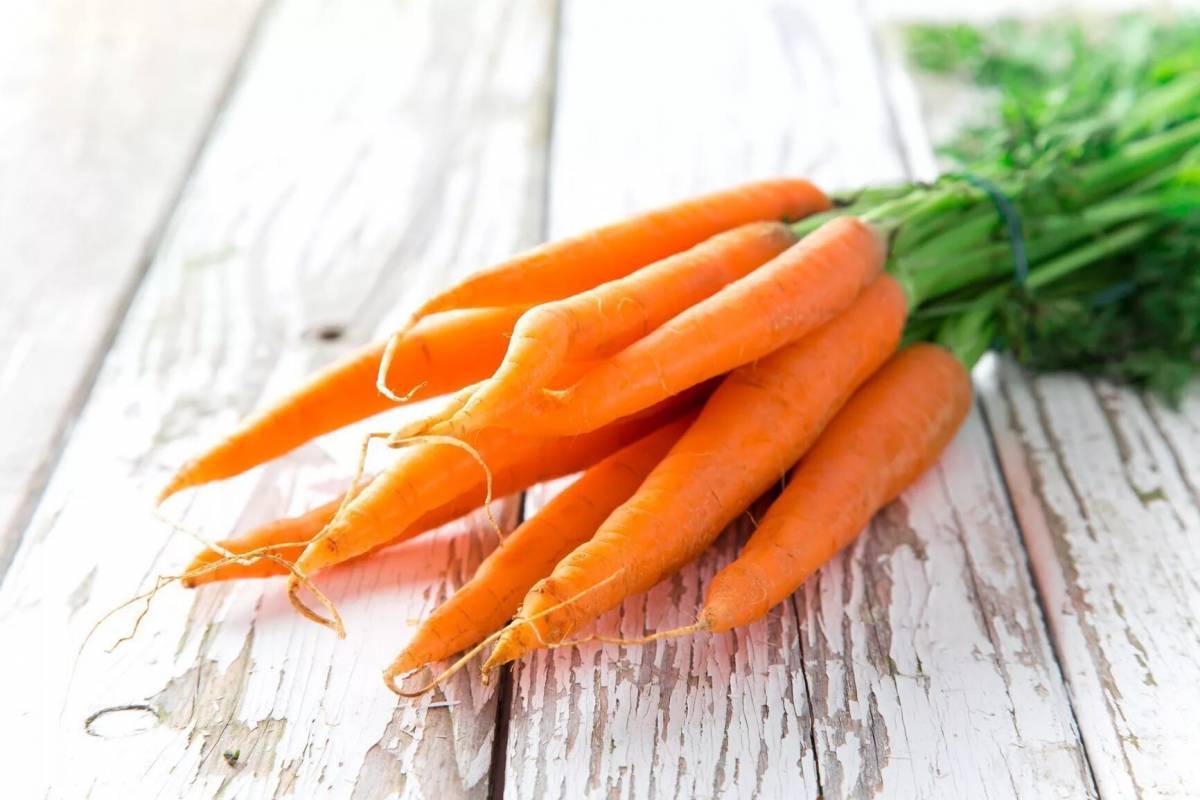Морковь #21