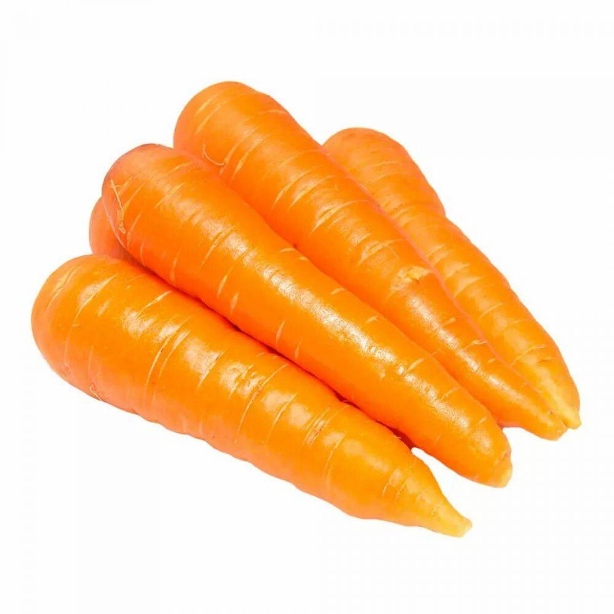 Морковь #23