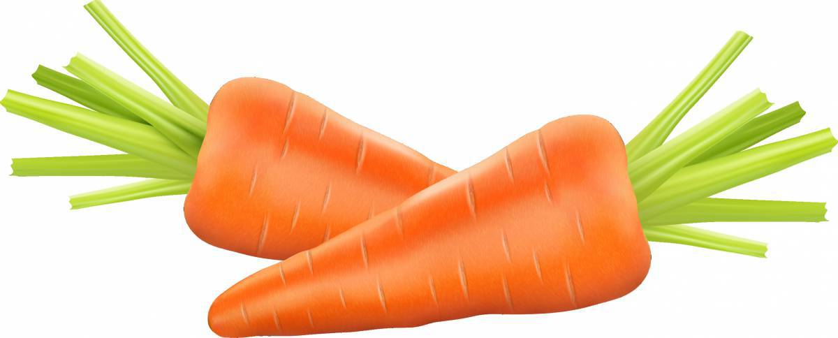 Морковь для детей #17