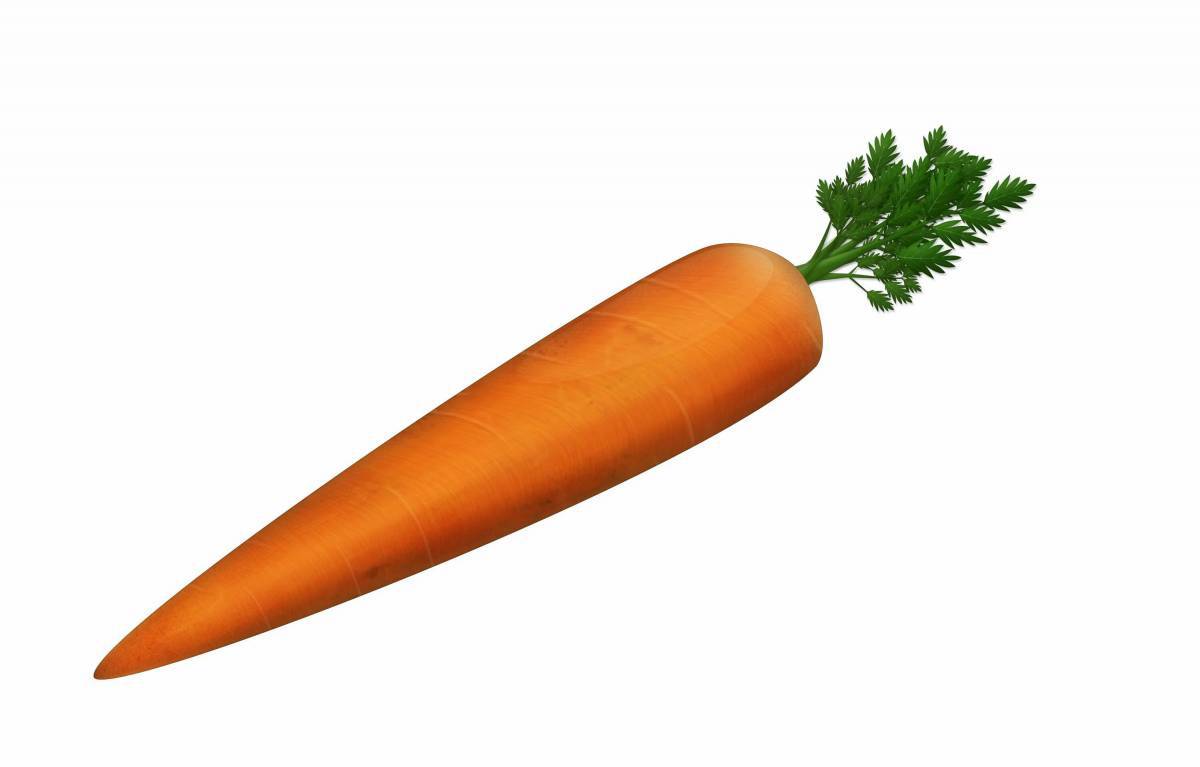 Морковь для детей #20