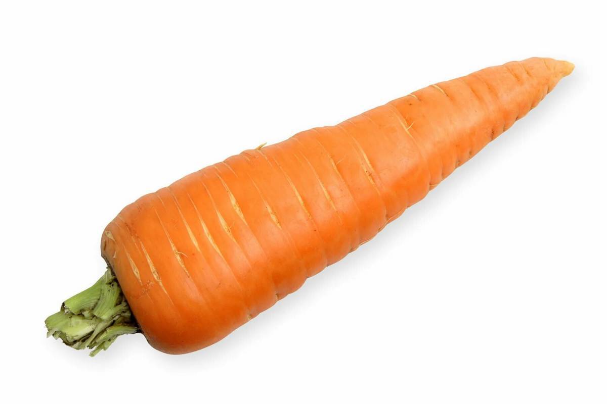 Морковь для детей #22