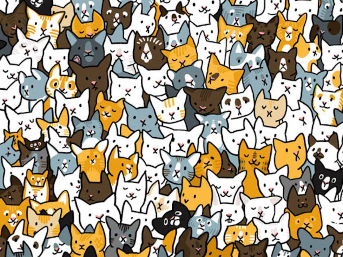 Играть много кошек. Найди мышь среди котов. Найди среди котов. Найди собаку среди котов. Найди кота среди собак.