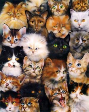 Раскраска много котиков #2 #114287