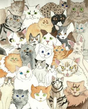 Раскраска много котиков #25 #114310
