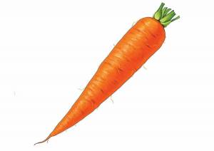 Раскраска морковка для детей #17 #115493
