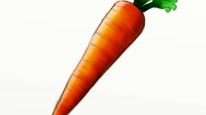 Раскраска морковка для детей 2 3 лет #33 #115526