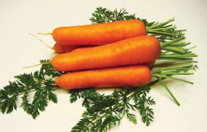 Раскраска морковь #6 #115532