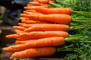 Раскраска морковь #10 #115536