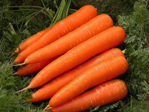 Раскраска морковь #18 #115544