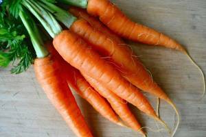 Раскраска морковь #22 #115548