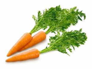 Раскраска морковь #24 #115550