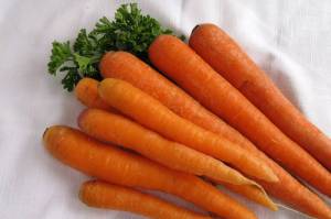 Раскраска морковь #31 #115557