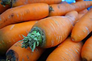 Раскраска морковь #33 #115559