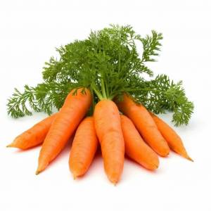 Раскраска морковь #35 #115561