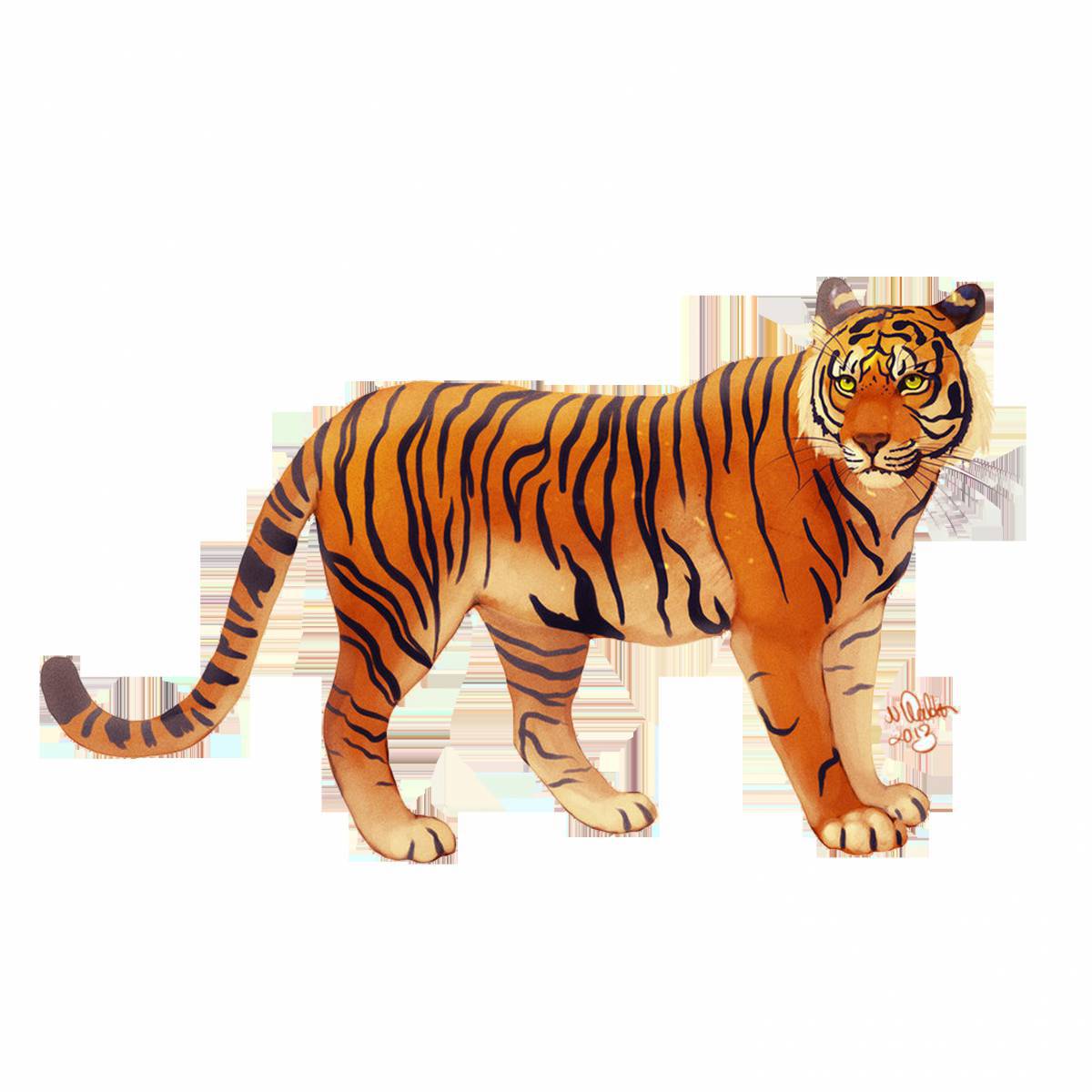 Тигр для детей #10