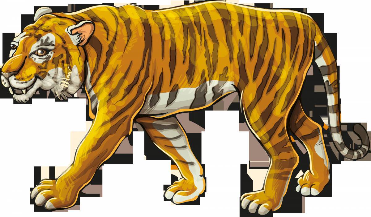 Амурский тигр картинка для детей